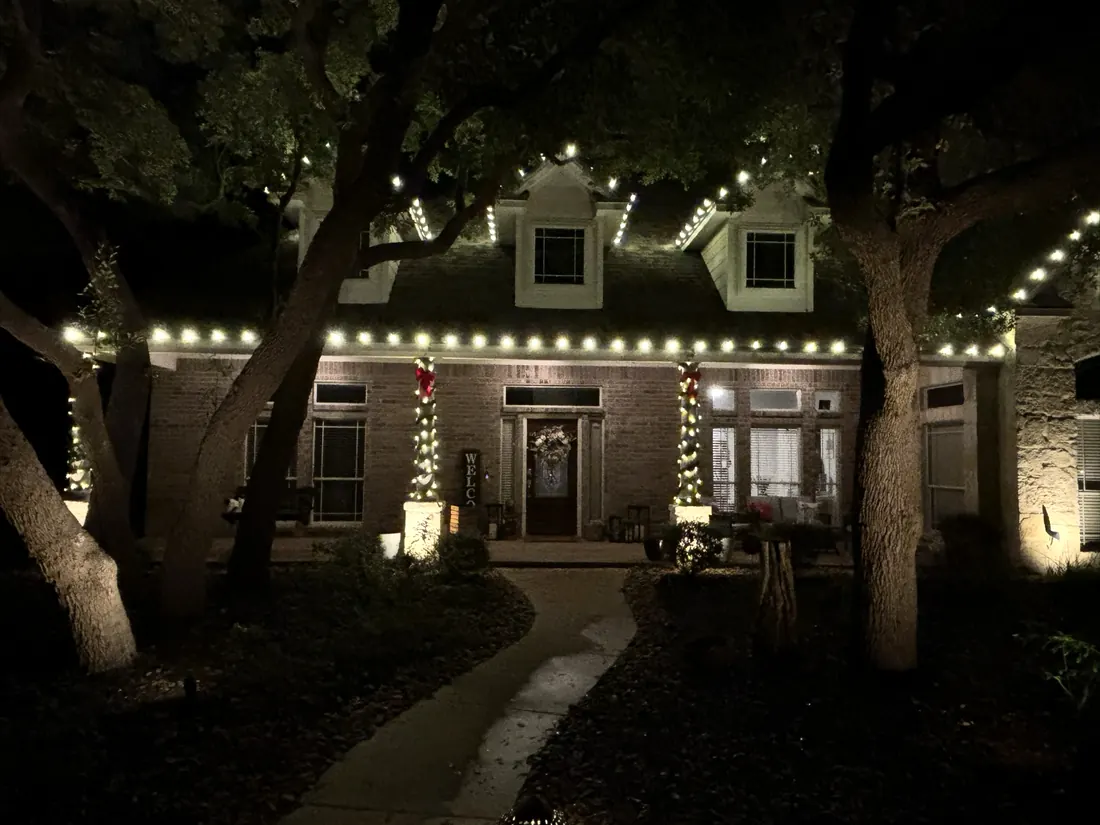 Warm white roofline with uplit oak trees
