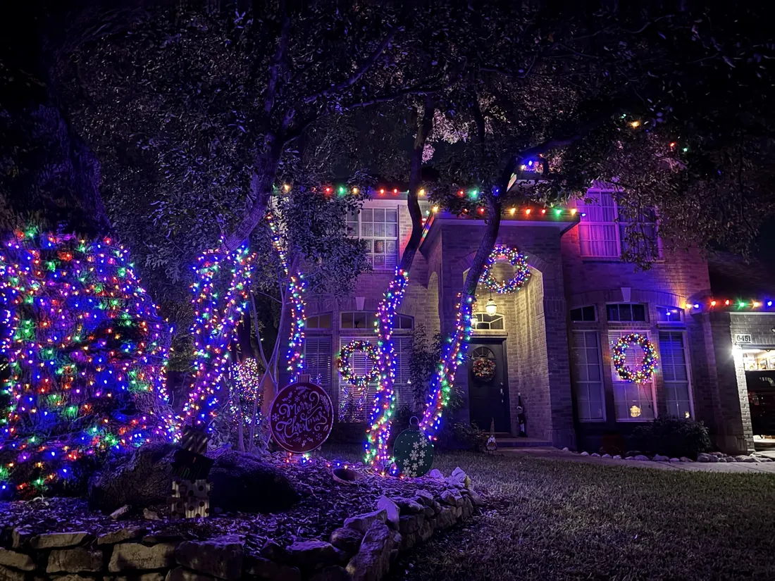 Multicolour lights with wrapped tree trunks
